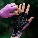 16220038006 MORADO.webp