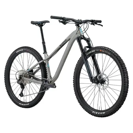 Honzo DL 29